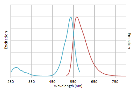 NucView-530-with-dsDNA-excitation-emission-spectra
