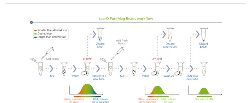 Size selection. Ampure XP manual. Ampure Beads manual. Ampure XP Beads Size selection.